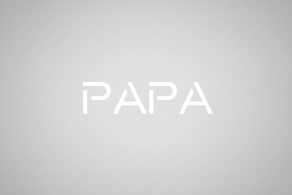 PAPA Hoodie modern Style